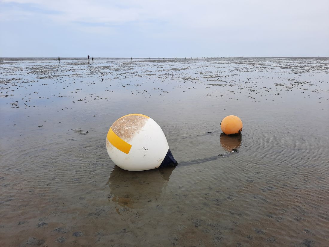 Cuxhaven Watt-Boje